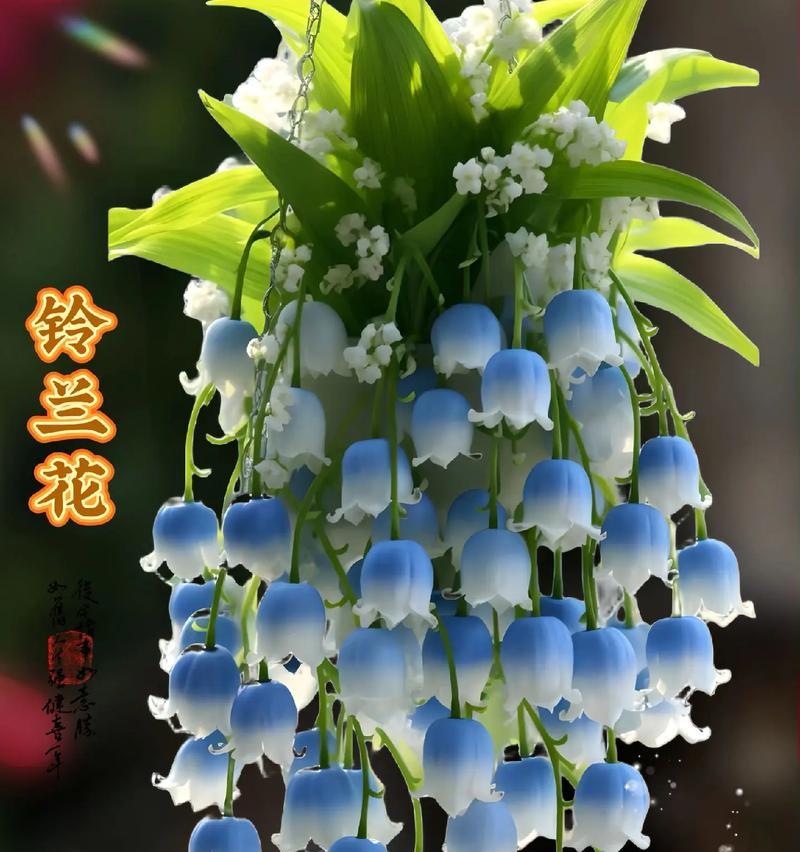铃兰花花语是什么？了解铃兰花的象征意义和用途？