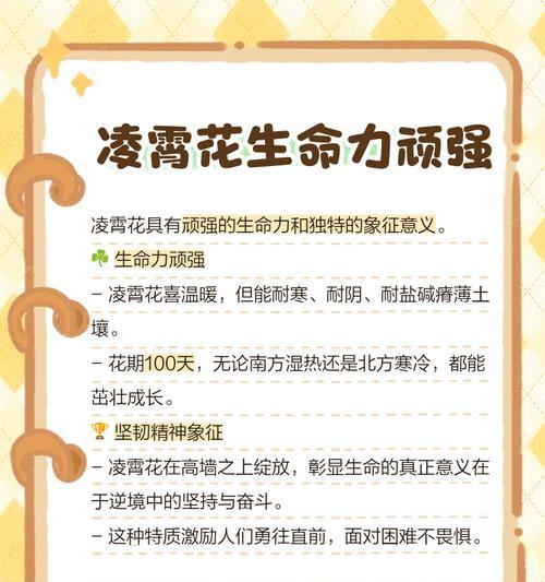 什么花象征对生命的尊重？如何选择表达敬意的花卉？