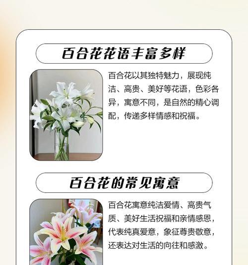 荆棘的百合花象征着什么意义？如何理解其深层含义？