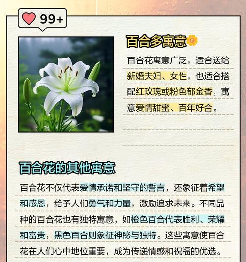 荆棘的百合花象征着什么意义？如何理解其深层含义？