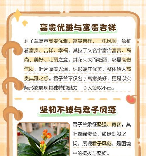 蓝花送人的寓意和象征是什么？蓝花代表了哪些美好祝愿？