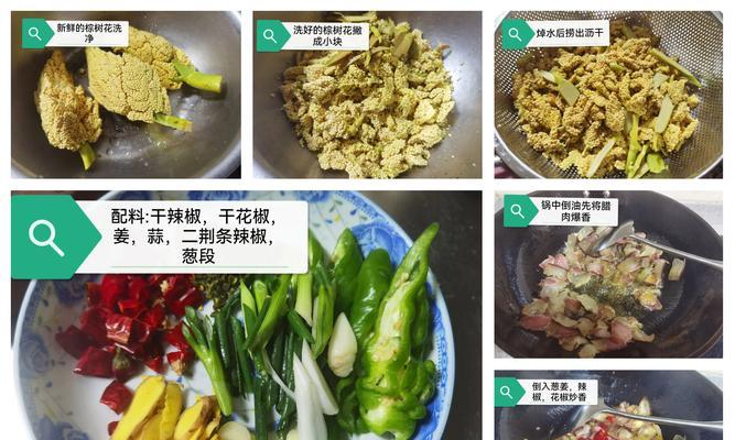 棕树花的寓意和象征是什么？了解其背后的文化意义？