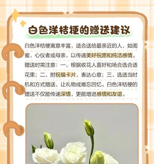 桔梗花的花语有哪些？桔梗花寓意着什么？