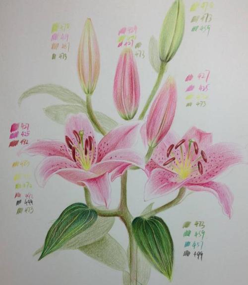 百合花饼的由来是什么？它的寓意又有哪些？