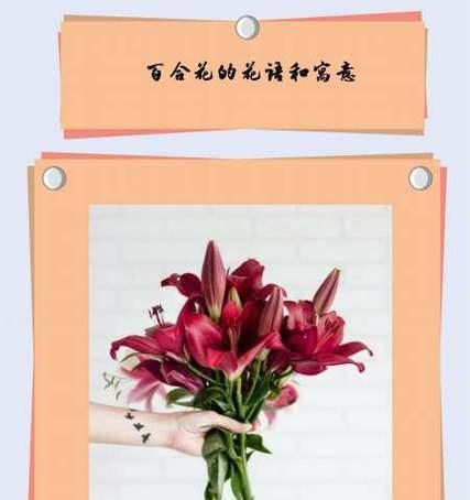 百合花饼的由来是什么？它的寓意又有哪些？