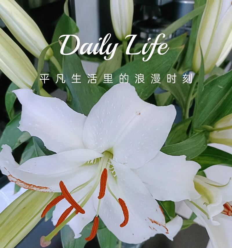 百合花饼的由来是什么？它的寓意又有哪些？