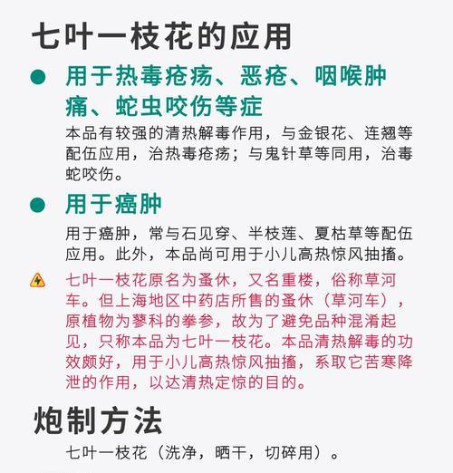一朵花的叶子象征什么意义？叶子在花卉语言中代表什么？