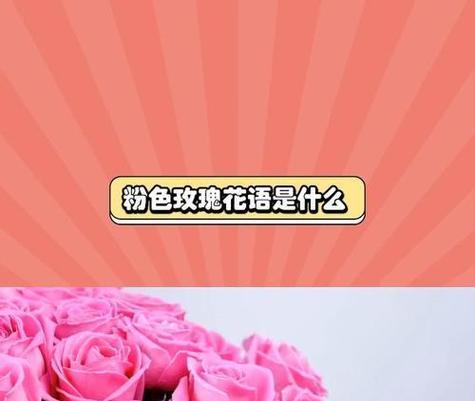 粉红的花象征着什么？粉红色花卉的含义有哪些？