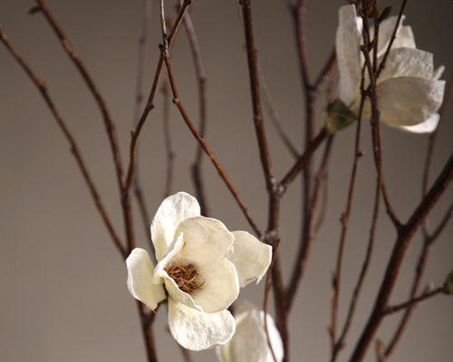 象征好运的干花是什么花？干花中哪些种类代表吉祥？