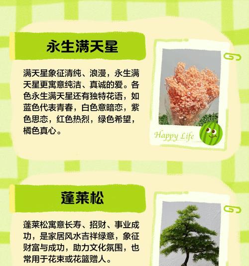 象征好运的干花是什么花？干花中哪些种类代表吉祥？