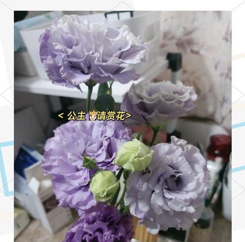 新年假花的寓意与象征是什么？如何挑选寓意吉祥的假花装饰？