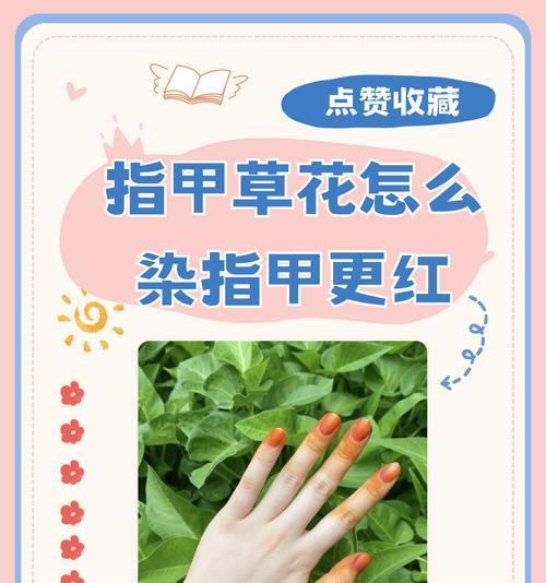 染指甲的花象征着什么？染指甲花的寓意有哪些？