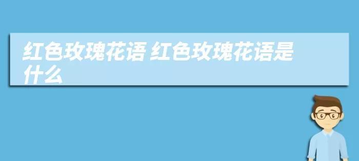玫瑰中式花语是什么？如何正确解读玫瑰的含义？