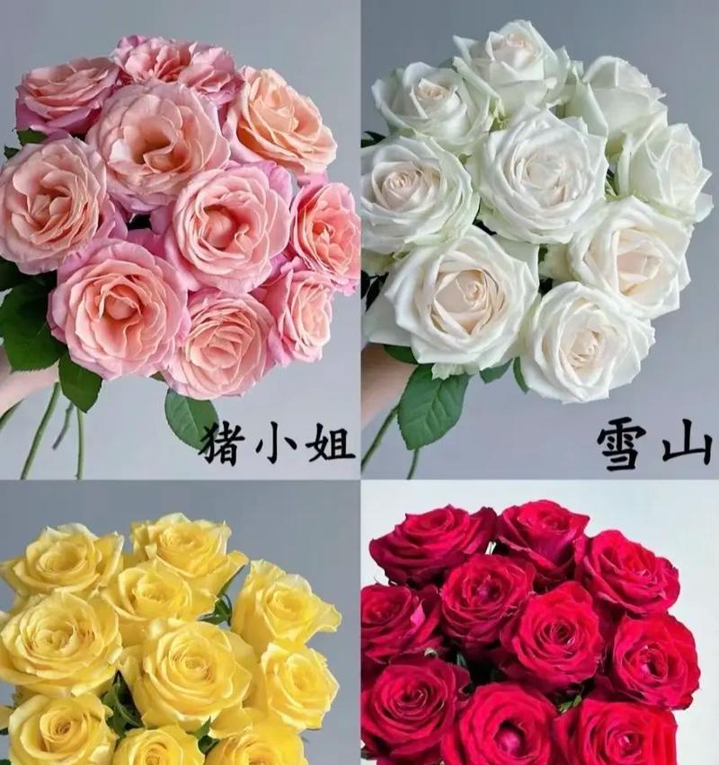 鲜花闺蜜花语是什么？如何挑选表达心意的花束？