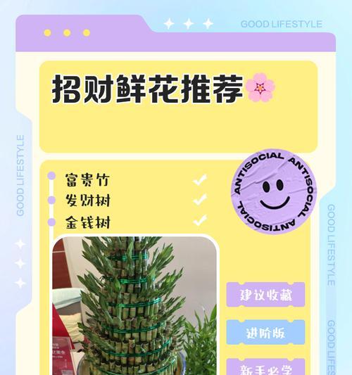 富贵竹的花语是什么？如何养护才能寓意吉祥？