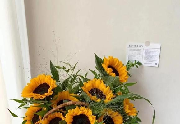 象征沉默之爱的花有哪些？它们的花语是什么？