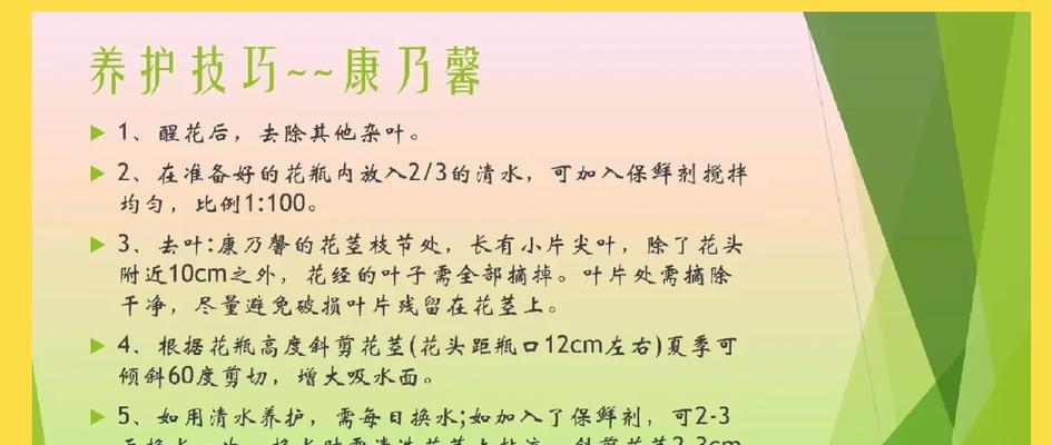 康乃馨鲜花的花语是什么？不同颜色代表什么含义？