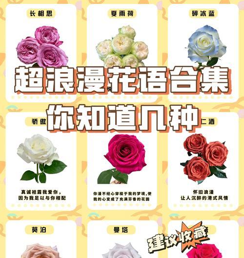 花语特殊含义是什么？如何解读不同花朵的象征意义？
