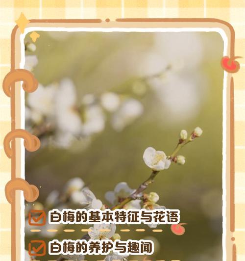 雪中梅花树花语是什么？梅花象征着什么含义？