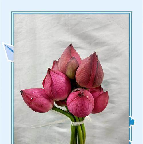 花的雕件寓意含义和象征是什么？如何解读花雕件的深层意义？