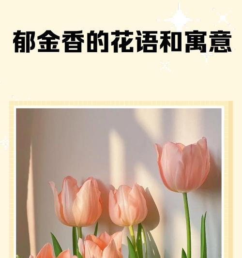 蓝星花和郁金香分别代表什么？它们的花语有哪些含义？