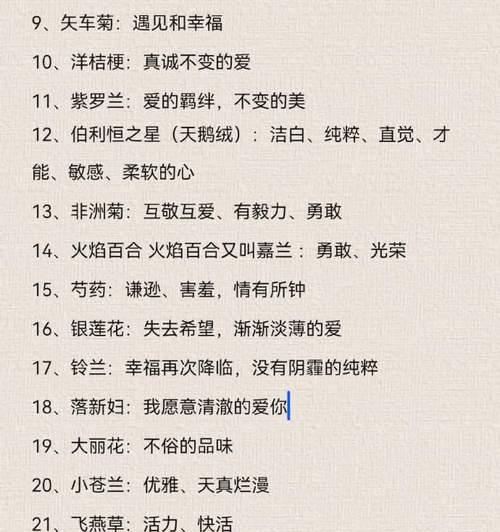 红玫瑰花的花语是什么？如何正确表达爱意？