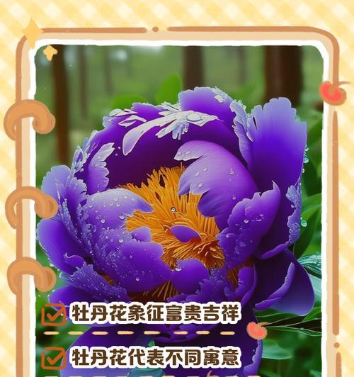 送朋友一捆花代表什么？一捆花的花语有哪些含义？