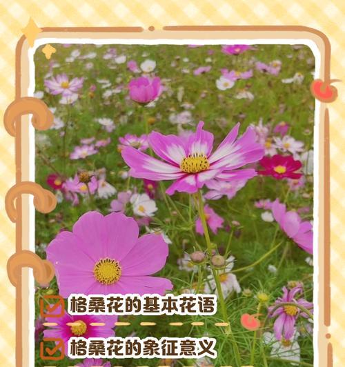 什么花的花语代表着权力？揭秘象征权力的花卉种类及含义？