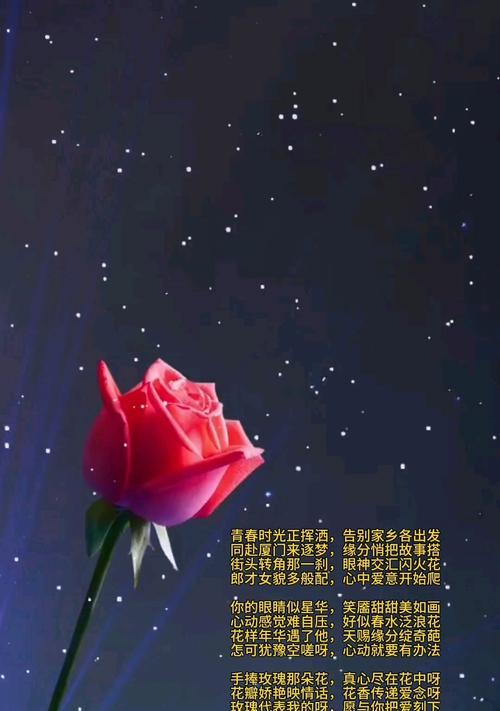 送一枝玫瑰花代表什么？了解玫瑰花语的深层含义？