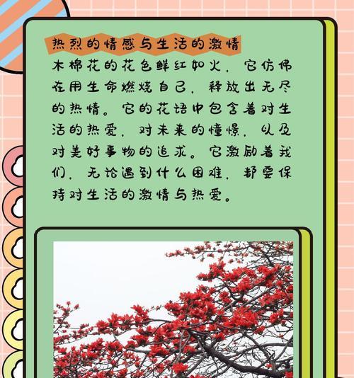 木绵花的寓意与象征是什么？了解木绵花背后的文化含义？