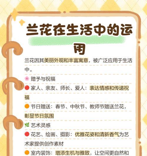 兰花的特征和花语是什么？如何解读兰花的象征意义？