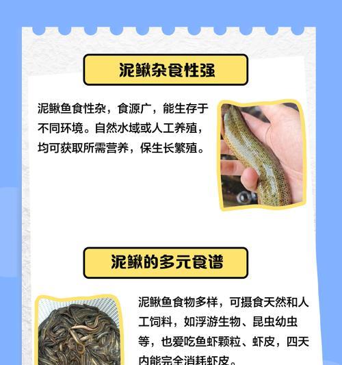 花泥鳅鱼的寓意是什么？如何正确理解花泥鳅鱼的象征意义？