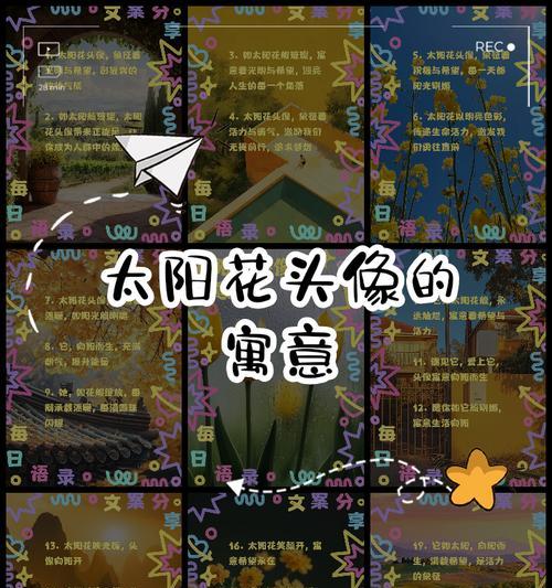 藏式太阳花的寓意象征着什么？它的文化意义有哪些？