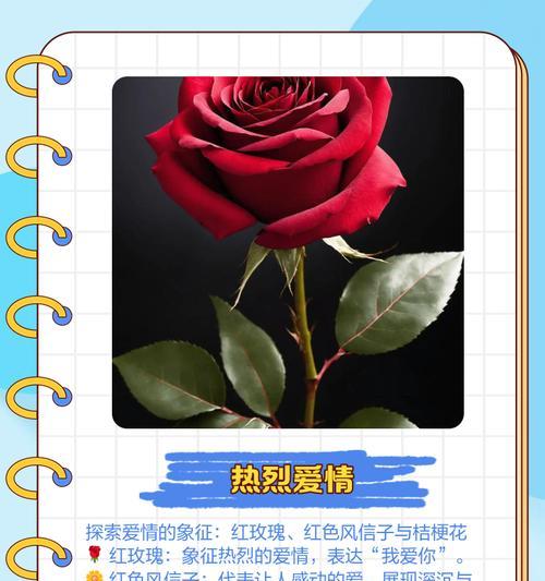 什么花语代表富有爱意？如何用花表达深情？