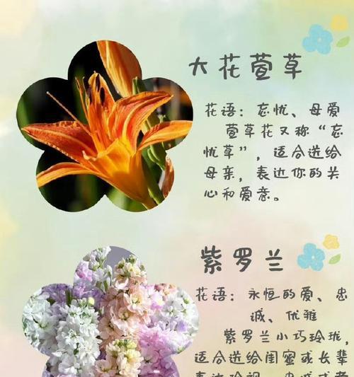 什么花语代表友情？揭秘友情的花卉象征意义是什么？
