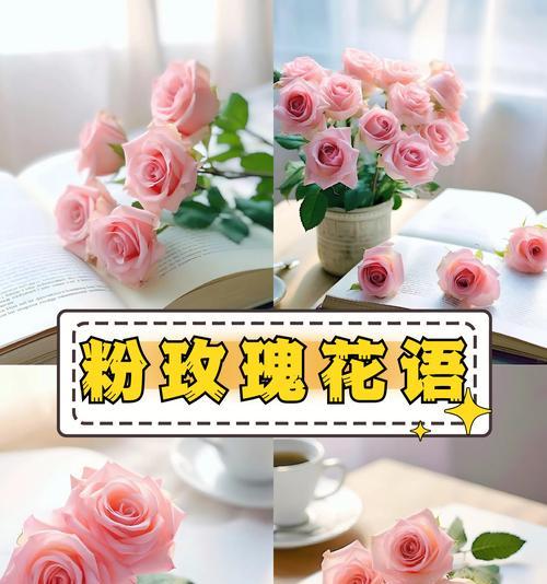 粉色玫瑰的花语是什么？如何正确表达爱意？