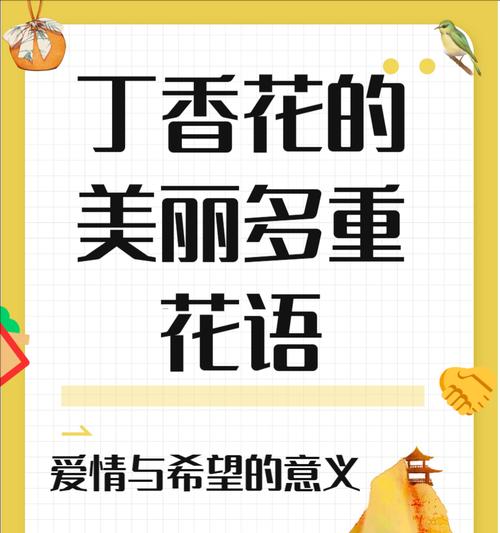 什么花的花语代表爱情？最浪漫的花卉有哪些？