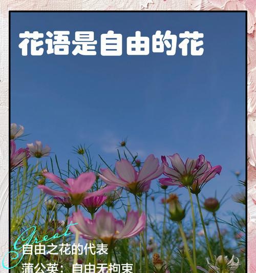 象征热恋期的花语是什么花？哪种花最能代表爱情的热烈？