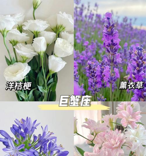 象征热恋期的花语是什么花？哪种花最能代表爱情的热烈？