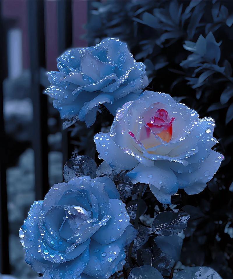 象征后悔的蓝色花是什么？蓝色花的花语有哪些含义？