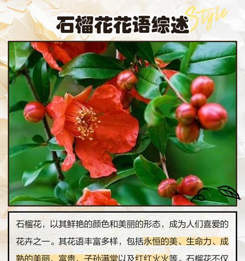 什么花代表勇敢？揭秘勇敢花语的花卉有哪些？