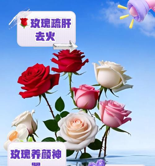 浴花送礼的深层含义是什么？送人浴花有哪些象征意义？
