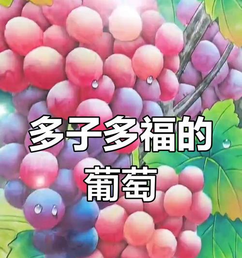 送葡萄花代表什么？葡萄花的寓意和象征有哪些？