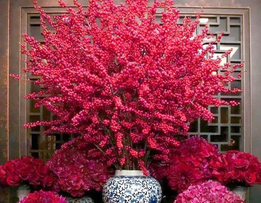 过年花的寓意是什么？春节花卉选择有哪些讲究？