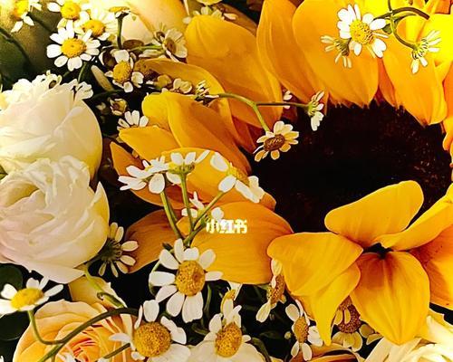 为什么花象征爱情？花语背后的含义是什么？