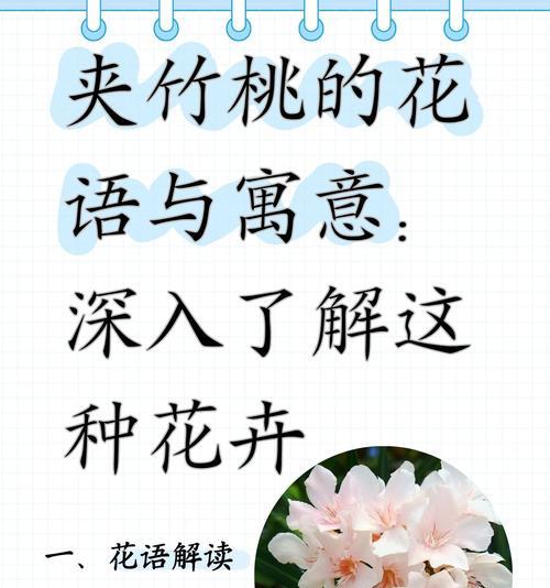 什么花象征美艳的意思？揭秘美艳花朵的花语含义