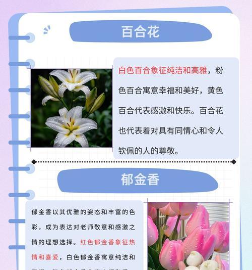 什么花象征美艳的意思？揭秘美艳花朵的花语含义
