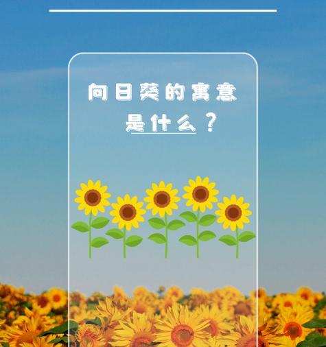 持续的爱花语是什么？如何表达永恒不变的情感？