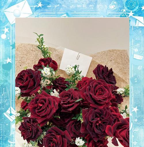 什么花寓意寡妇的意思？了解花卉文化背后的含义是什么？