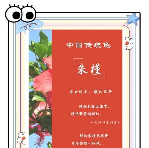 木槿花花语是什么？了解木槿花的象征意义和文化背景？